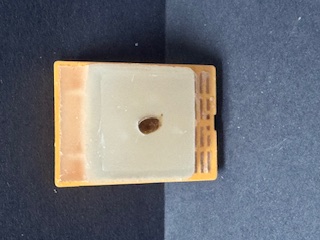 FFPE Mouse Kidney