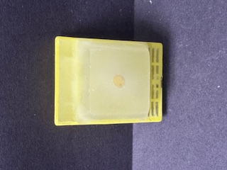 FFPE Mouse Testis