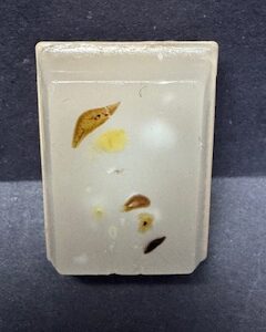 FFPE Mouse Multi-Tissue