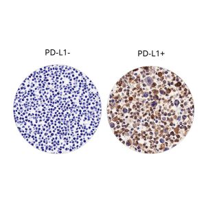 PD-L1 Control Array (2-core)