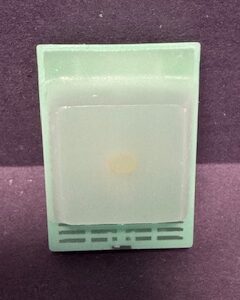 FFPE Rat Intestine (Ileum)